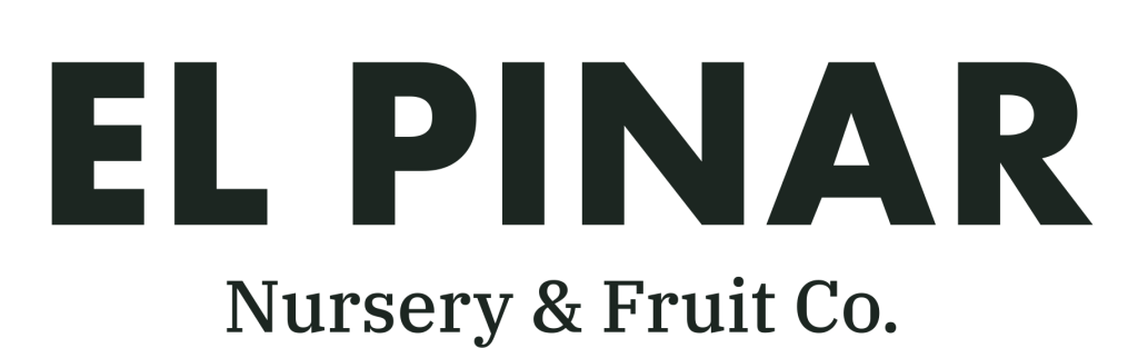 El Pinar